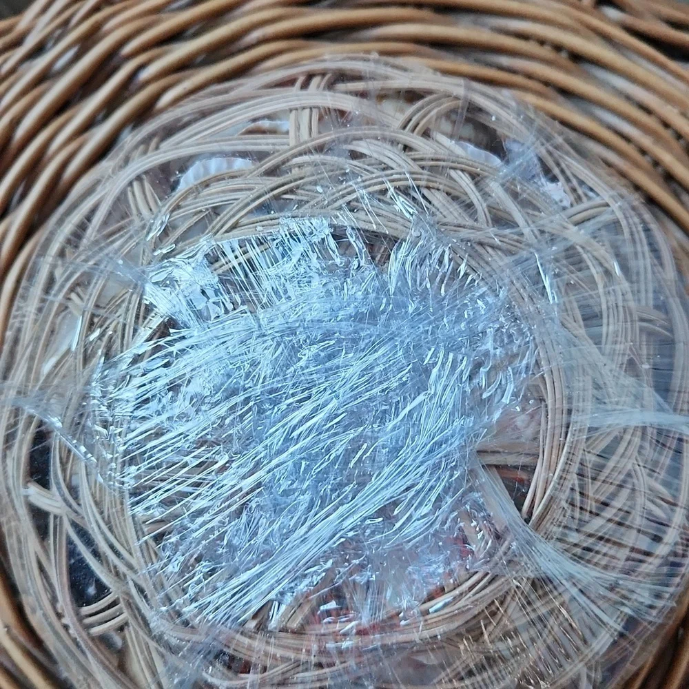 PEI Shells - Picture 2 of 3